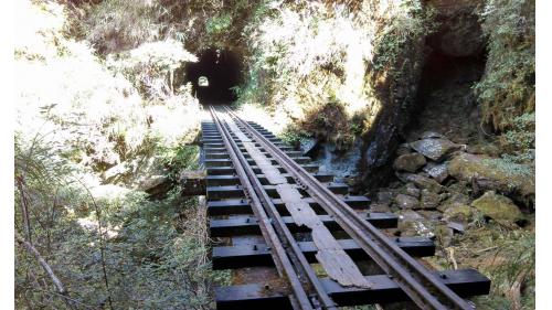 阿里山森林鐵路眠月線鐵軌