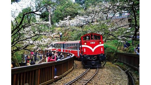 阿里山森林鐡路阿里山櫻花火車