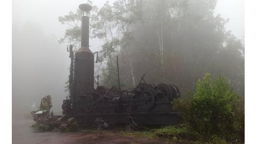 1924年第一部蒸汽集材機運抵太平山。