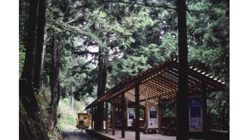 太平山林鐵太平山茂興懷舊步道