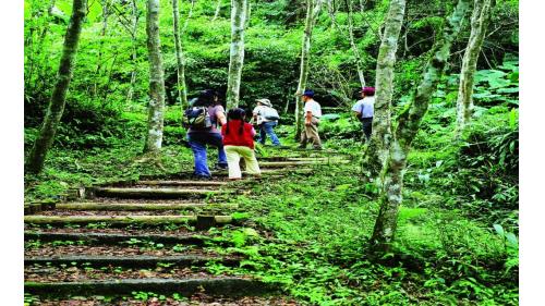 太平山林鐵鳩之澤自然步道