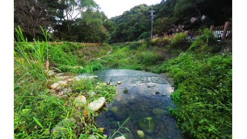 新莊水源地-18分坑溪河水清澈