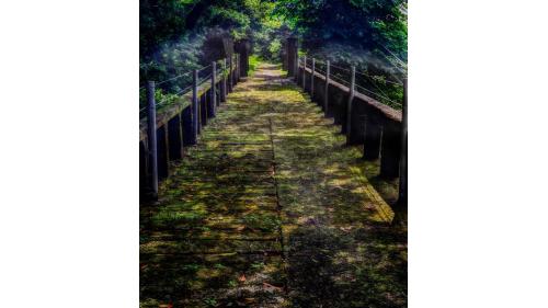 公共給水臺北水道草山水道系統-水管橋