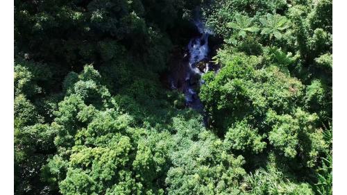 陽明淨水場位於臺北市北投區，總出水量約為40,000噸，供水區涵蓋士林及北投等行政區。