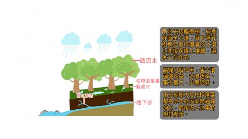  水源涵養林主要作用為水土保持及改善水質。