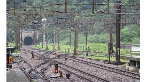 永樂車站為三等站，僅有區間車停靠，客運旅次較低，以貨運為主，係台泥的水泥貨運基地，也是台泥蘇澳廠的主要進出門戶，因此設置有寬廣的場站區，以及多條供貨運列車停靠與通過的側線，常有散裝水泥貨車停在站區。