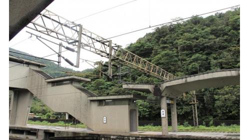 永樂車站為三等站，僅有區間車停靠，客運旅次較低，以貨運為主，係台泥的水泥貨運基地，也是台泥蘇澳廠的主要進出門戶，因此設置有寬廣的場站區，以及多條供貨運列車停靠與通過的側線，常有散裝水泥貨車停在站區。